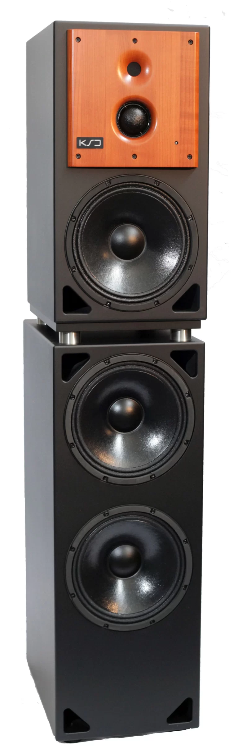 AB300 studijos monitorius