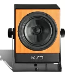 C5-REFERENCE studijos monitorius
