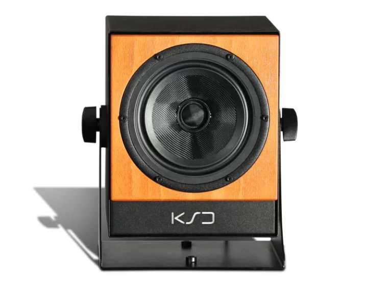 C5-REFERENCE studijos monitorius