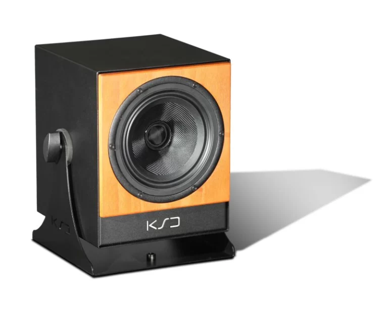 C5-REFERENCE studijos monitorius