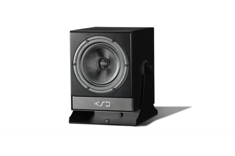C5-REFERENCE studijos monitorius