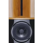 LINEMASTER studijos monitorius