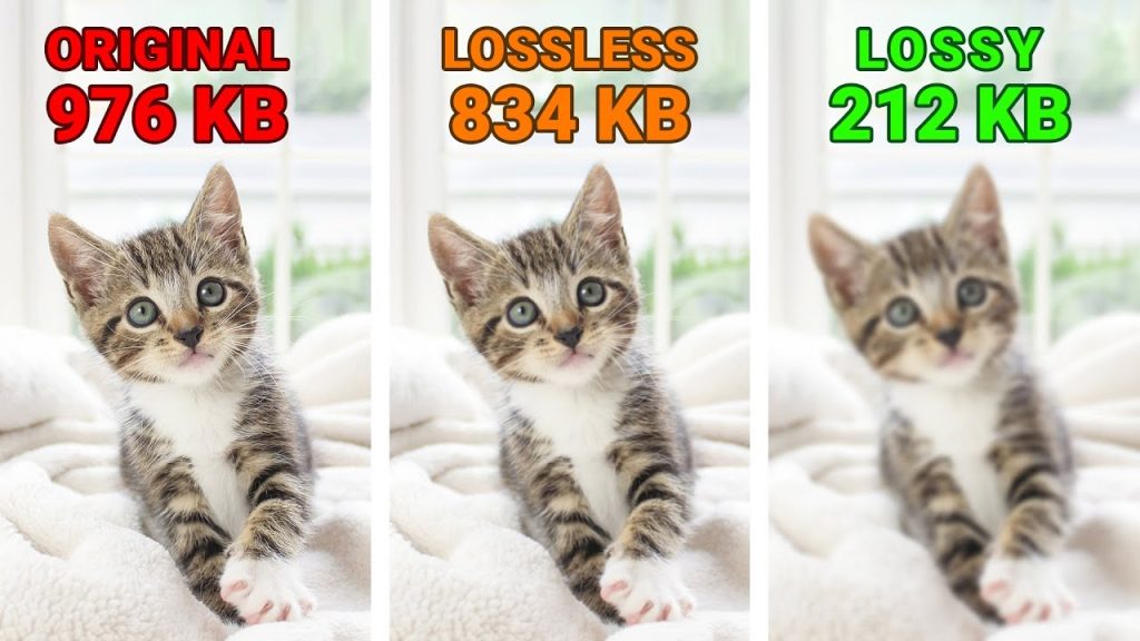 Lossless