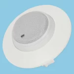 In-Ceiling Mount